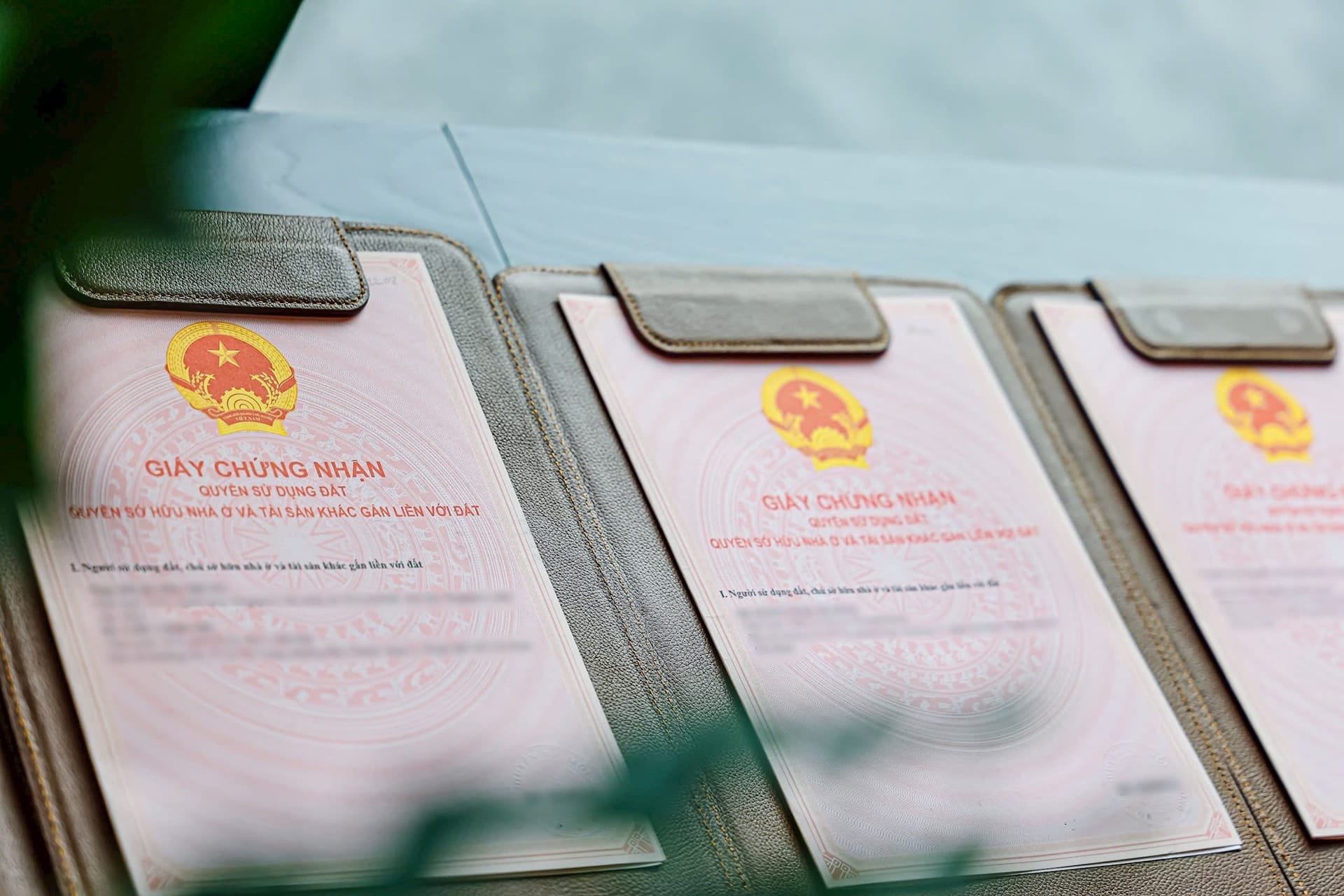 Sổ hồng căn hộ